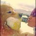Profile Picture of Jennifer Hoyt (@jennygymnast102) on Pinterest