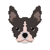 Danielly Tuckmantel - Youtube Profile Picture of Danielly Tuckmantel (@daniellytuckmantel5818) on Youtube