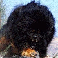 Profile Picture of Christopher Lenz (@christopher-lenz-7) on Quora