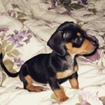 Profile Picture of José Tostado (@chevitoinsta) on Instagram