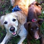 Profile Picture of Heidi Imgrüth (@heidiimgruth) on Instagram