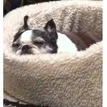 Profile Picture of Nancy Wilmes (@wilmesnancy) on Instagram