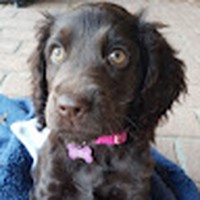 Profile Picture of Oliver Gregorace (@oliver-gregorace) on Quora