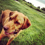 Profile Picture of Peter Corcoran (@pcork67) on Instagram
