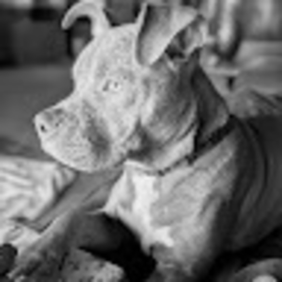 Profile Picture of Stac Mccorquodale (@stac19785) on Poshmark