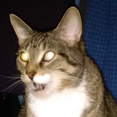 Profile Picture of Mitch Sprague (@4TechEd) on Twitter