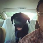 Profile Picture of Grant Hutcheson (@granthutcheson) on Instagram