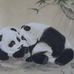 Profile Picture of Zhang Pam (@zhang.pam) on Facebook