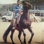 Daniel Beaven - Youtube Profile Picture of Daniel Beaven (@DanielBeaven) on Youtube