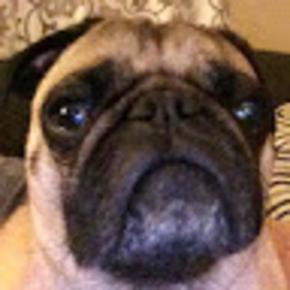 Profile Picture of Daniel Kreiner (@danielkreiner) on Poshmark