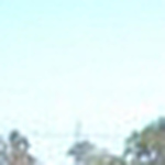 Profile Picture of Donna Moore (@doonainoz05) on Flickr