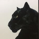 Profile Picture of David Lovink (@d.lovink) on Instagram