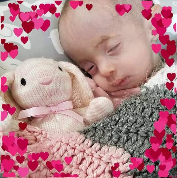 Profile Picture of Deborah Evarts (@evarts_8) on Poshmark