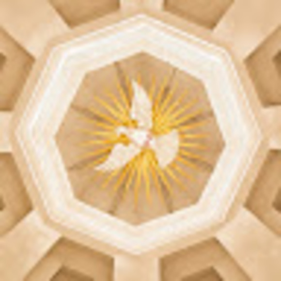 Profile Picture of Glorea Knaggs (@gknaggs) on Poshmark