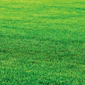 Profile Picture of Christian Craig  (@ChristianCraig-pj8cs) on Youtube