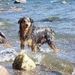 Profile Picture of Glenn Gragg (@glenngragg) on Pinterest