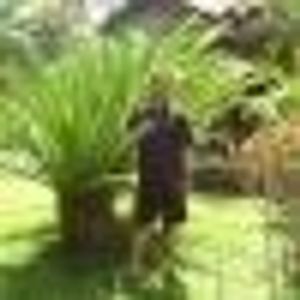 Profile Picture of Jamal Rahim (@249930624) on Myspace