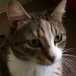 Profile Picture of Jim Schneider (@collegeareajim) on Instagram