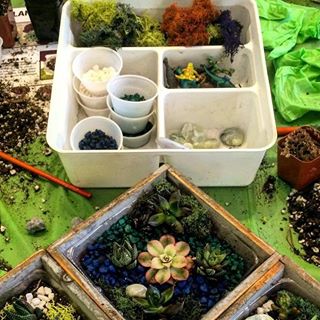 Profile Picture of Pauletta Franek (@Pauletta-Franek) on Facebook