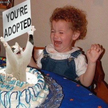 Profile Picture of Eric Snelling (@ericsnelling64) on Twitter