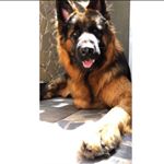 Profile Picture of roberta cerrato (@roberta_cerrato) on Instagram