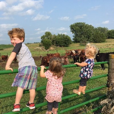 Profile Picture of Michael Schrum (@MichaelSchrum) on Twitter