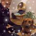 Profile Picture of Sandra Studer (@sandra.studer.731) on Facebook