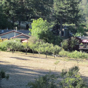 Profile Picture of Doug Gardner (@adgardner33) on Youtube