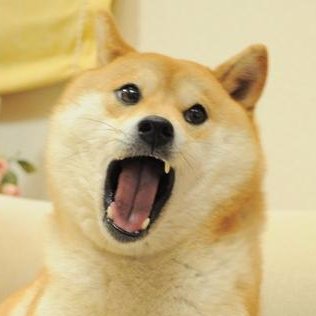 Profile Picture of Hernando Joshua (@Terroristan2934) on Twitter