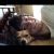 Profile Picture of Nicholas Adamczak (@nadamczak) on Pinterest