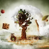 Profile Picture of Olivia Ness (@olivia-ness-1) on Quora