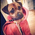 Profile Picture of Barnaby Andrew (@barnabyjug) on Instagram