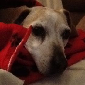 Profile Picture of Julie Wallace (@jayayuu) on Pinterest