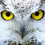Profile Picture of Jeremy Winters (@jeremy.winters) on Instagram