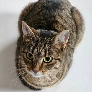 Profile Picture of ANDRE LUCIEN (@djandrelucien) on Instagram