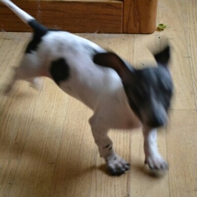 Profile Picture of James Chaney (@clone660) on Twitter