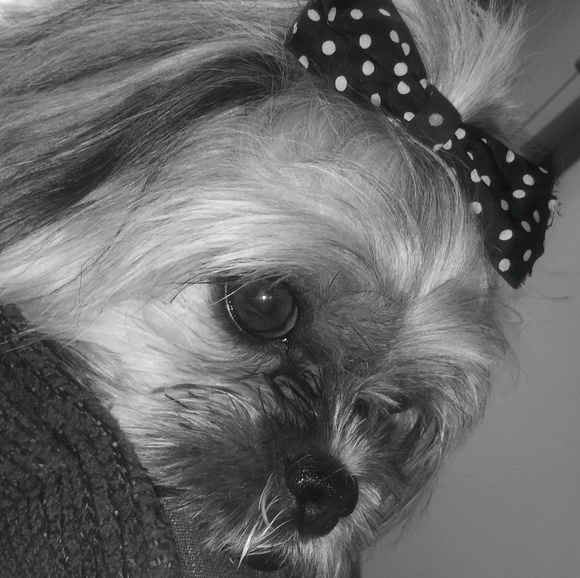 Profile Picture of Rushell Allen (@rushellsru) on Poshmark