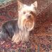 Profile Picture of Sharon Bitner (@Sharon-Bitner) on Facebook