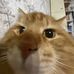 Profile Picture of James Grubert (ddufudyeyeurhoigviigcudy) (@James-Grubert) on Facebook