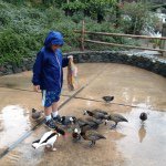 Profile Picture of James Alexander Raposo (@animalboy147) on Instagram