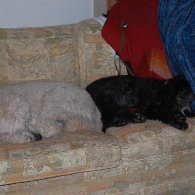 Profile Picture of John Morawski (@jjm4532) on Twitter