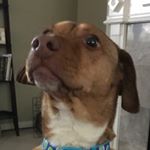 Profile Picture of Drew Bryant (@drew81705) on Instagram