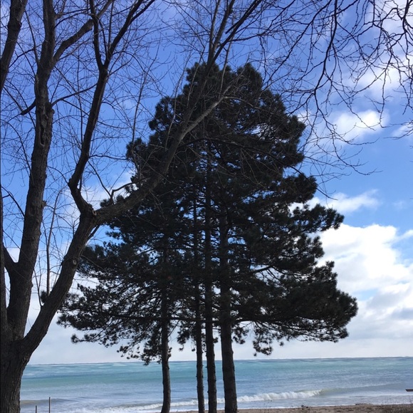 Marwa Abouraya - Poshmark Profile Picture of Marwa Abouraya (@mabouraya1) on Poshmark