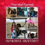 Profile Picture of Crystal Gartrell (@gartrellcrystal) on Instagram