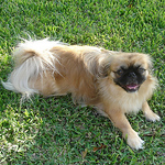 Profile Picture of 4bacons (@4bacons) on Flickr