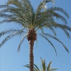 Profile Picture of Markku Heikkinen (@Markku-Heikkinen) on Facebook