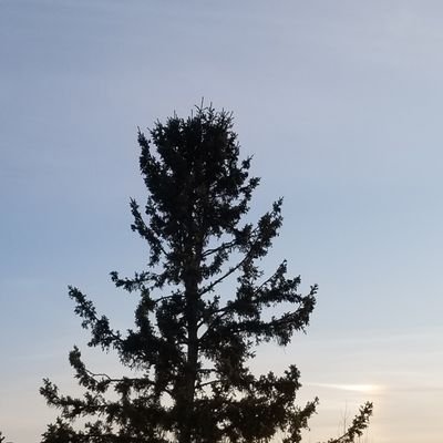 Profile Picture of William Rexford (@williamlrexford) on Twitter