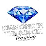 Profile Picture of Michael Mccutcheon (@diamondintheroughtraining_) on Instagram