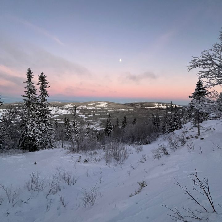 Profile Picture of Erik_Larsson🎿 (@erik_larsson) on Tiktok