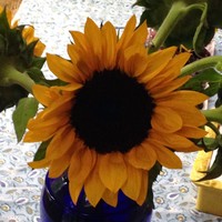 Profile Picture of Mimi Gee (@mimi-gee-2) on Quora